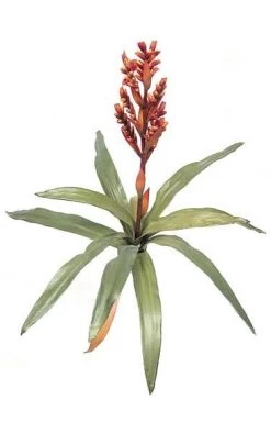 23 Inches Bromeliad - Natural Touch - 12 Leaves - 1 Flower - 23 Inches Width - Orange/Yellow