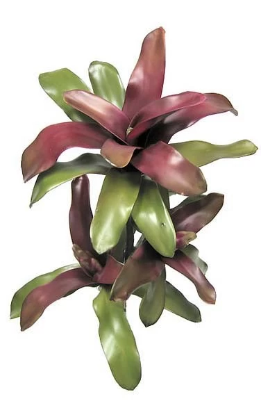 20 Inches Bromeliad Stem - Natural Touch - 3 Heads - 30 Leaves - 12 Inches Width - Red/Green