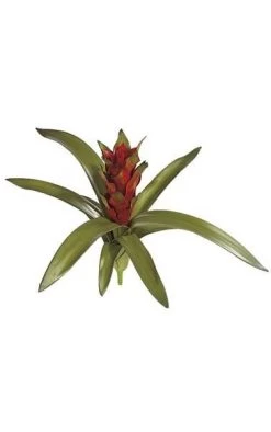 15 Inches Guzmania - Natural Touch - 9 Leaves - 1 Flower - 14 Inches Width - Green/Red