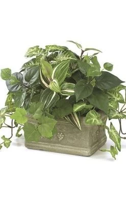 9 Inches X 12 Inches Potted Mixed Foliage - Green