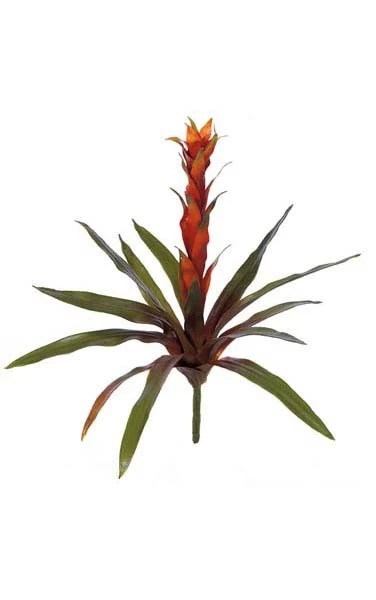 21 Inches Bromeliad - Natural Touch - 13 Leaves - 1 Flower - 24 Inches Width - Green/Red