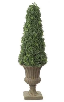 53 Inches Ming Aralia Cone Topiary - Natural Trunk - Green - Weighted Base