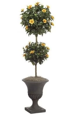 6 Feet Hibiscus Artificial Topiary - Double Ball - Natural Trunk - 876 Leaves - 33 Peach Flowers - Weighted Base