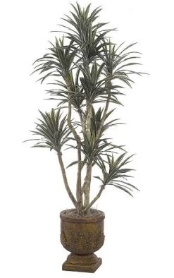 6 Feet Dracaena - Natural Trunks - 270 Leaves - 10 Heads - Green/White - Weighted Base - CUSTOM-MADE