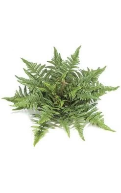 14 Inches Artificial Tree Fern - 40 Fronds - 18 Inches Width - Green - Bare Stem