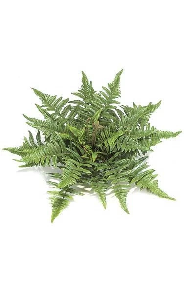 14 Inches Artificial Tree Fern - 40 Fronds - 18 Inches Width - Green - Bare Stem