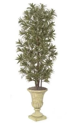 7 Feet Dracaena Reflexa Tree - Natural Trunks - 2,820 Leaves - Green/Yellow - Weighted Base