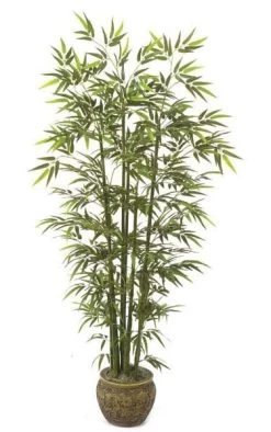 6 Foot Captivating Faux Bamboo Palm - Natural Green Canes - 1,080 Leaves - Weighted Base