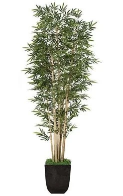 12 Feet Bamboo Palm Cluster - 7 Natural Canes Green/Brown- Tutone Green - Weighted Base - Custom Made