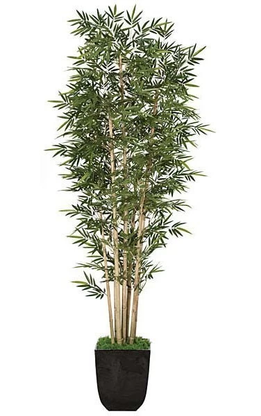 12 Feet Bamboo Palm Cluster - 7 Natural Canes Green/Brown- Tutone Green - Weighted Base - Custom Made