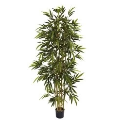 6 Feet Bamboo Tree