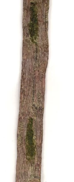 3 Foot X 6 Foot Flocked Moss Tree Bark Wall Mat