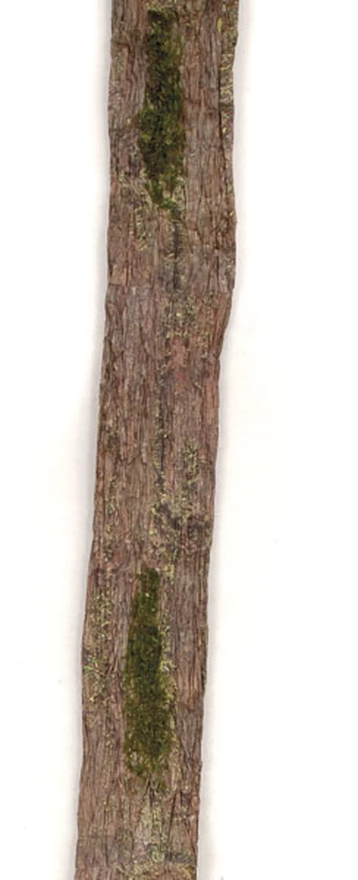 3 Foot X 6 Foot Flocked Moss Tree Bark Wall Mat