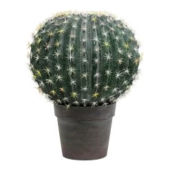 13.5 Inches Green Barrel Cactus Ball In Gray/Red Pot