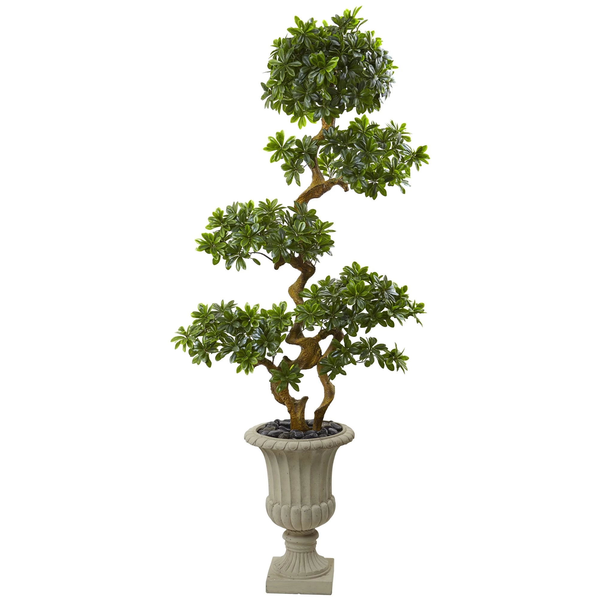 6’ Pittosporum Bonsai Artificial Tree With Urn UV Resistant (Indoor/Outdoor)