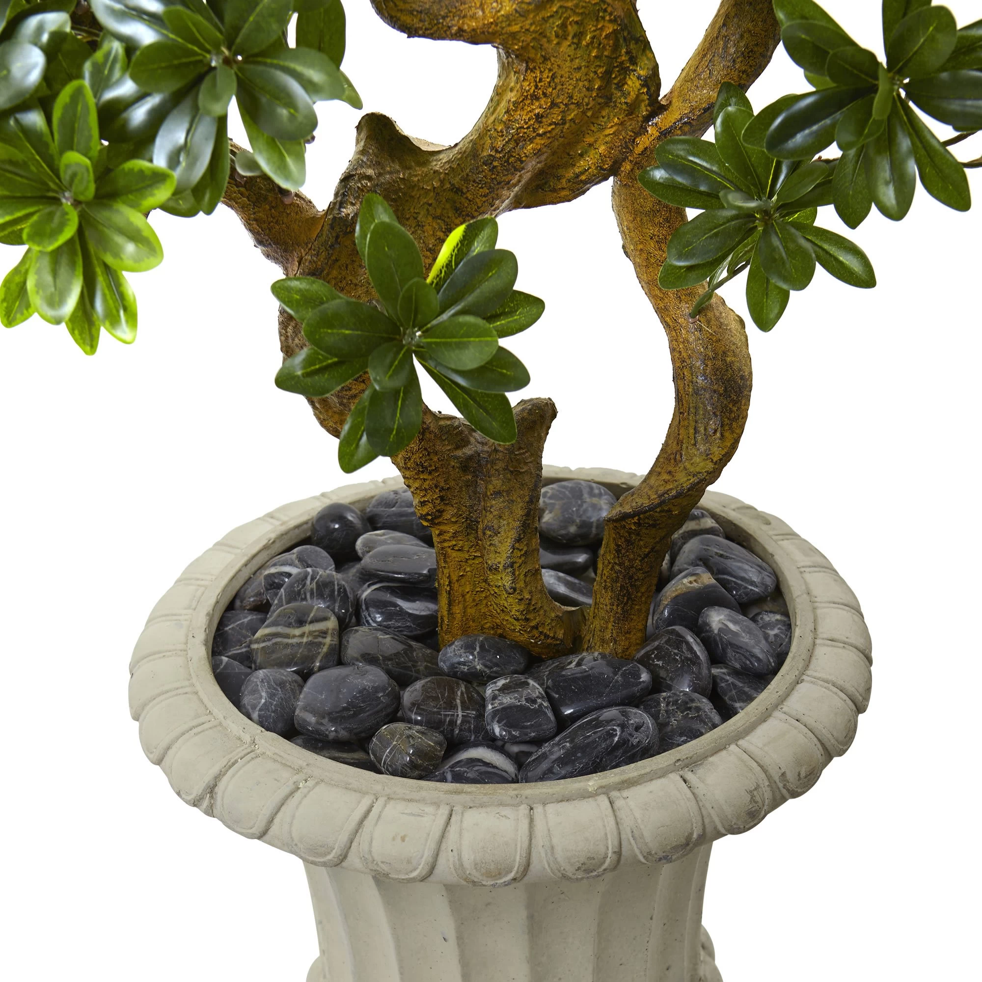 6’ Pittosporum Bonsai Artificial Tree With Urn UV Resistant (Indoor/Outdoor) - Image 2