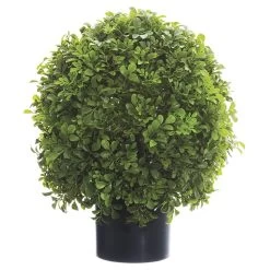 16 Inches Boxwood Ball Topiary In Nursery Pot Green