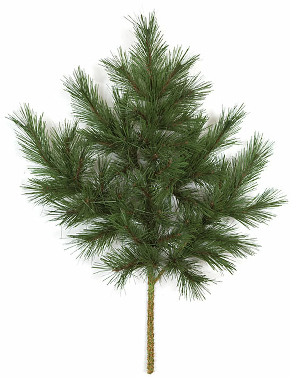 32 Inches Scotch Pine Spray - Green - (IFR)
