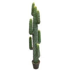 72 Inches Green Aloe Plant In Gray/Lt Red Pot