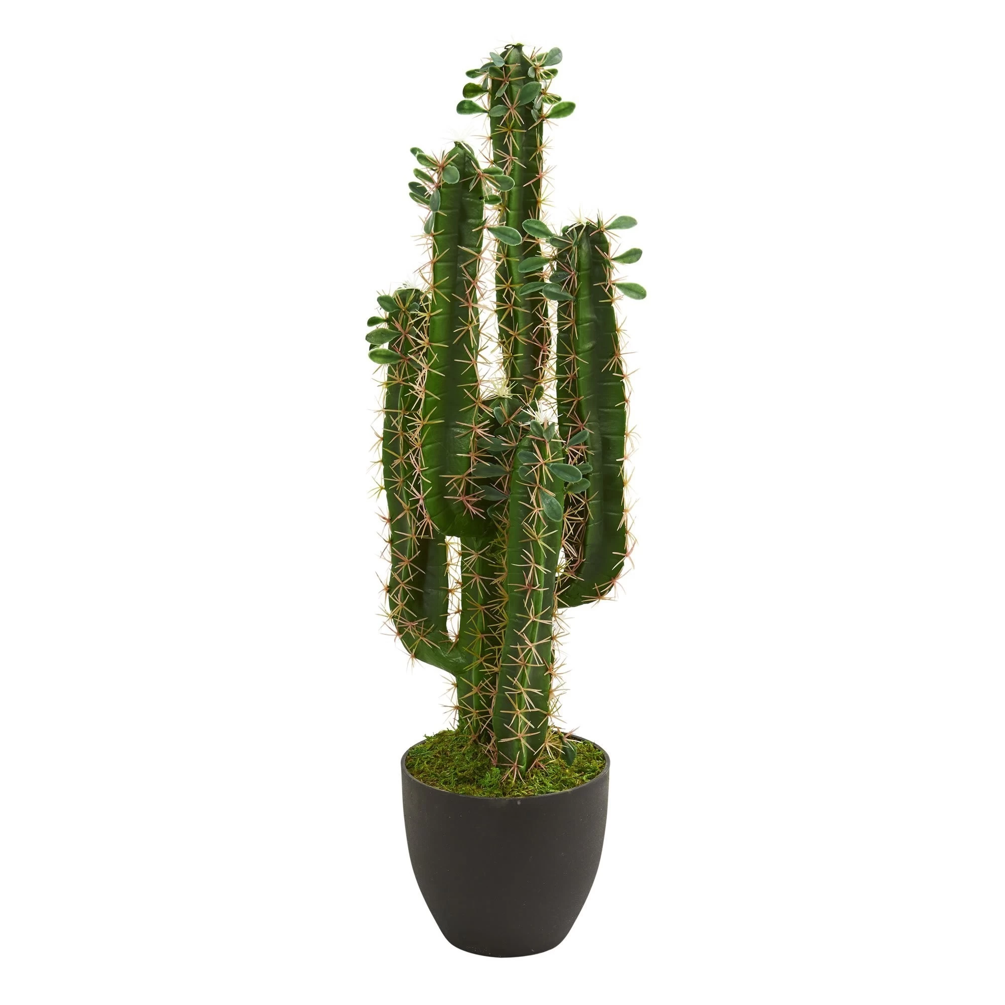 EFV-6630 2.5โ Cactus Artificial Plant