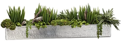 12"Hx10"Wx41"L Senecio/Succulent/Sedum In Aluminum Rectangular Planter
