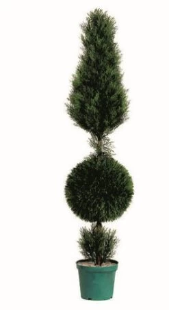 5 Feet Cedar Cone And Ball Topiary Indoor/Outdoor