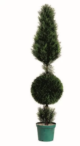 5 Feet Cedar Cone And Ball Topiary Indoor/Outdoor