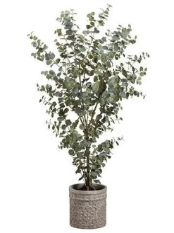 5 Feet Eucalyptus In Cement Planter Green