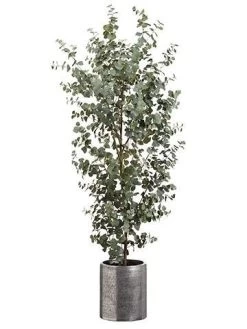 6.5 Feet Eucalyptus Tree In Aluminum Planter Green