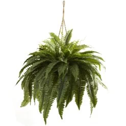 36 Inches Giant Boston Fern Hanging Basket Indoor/Outdoor