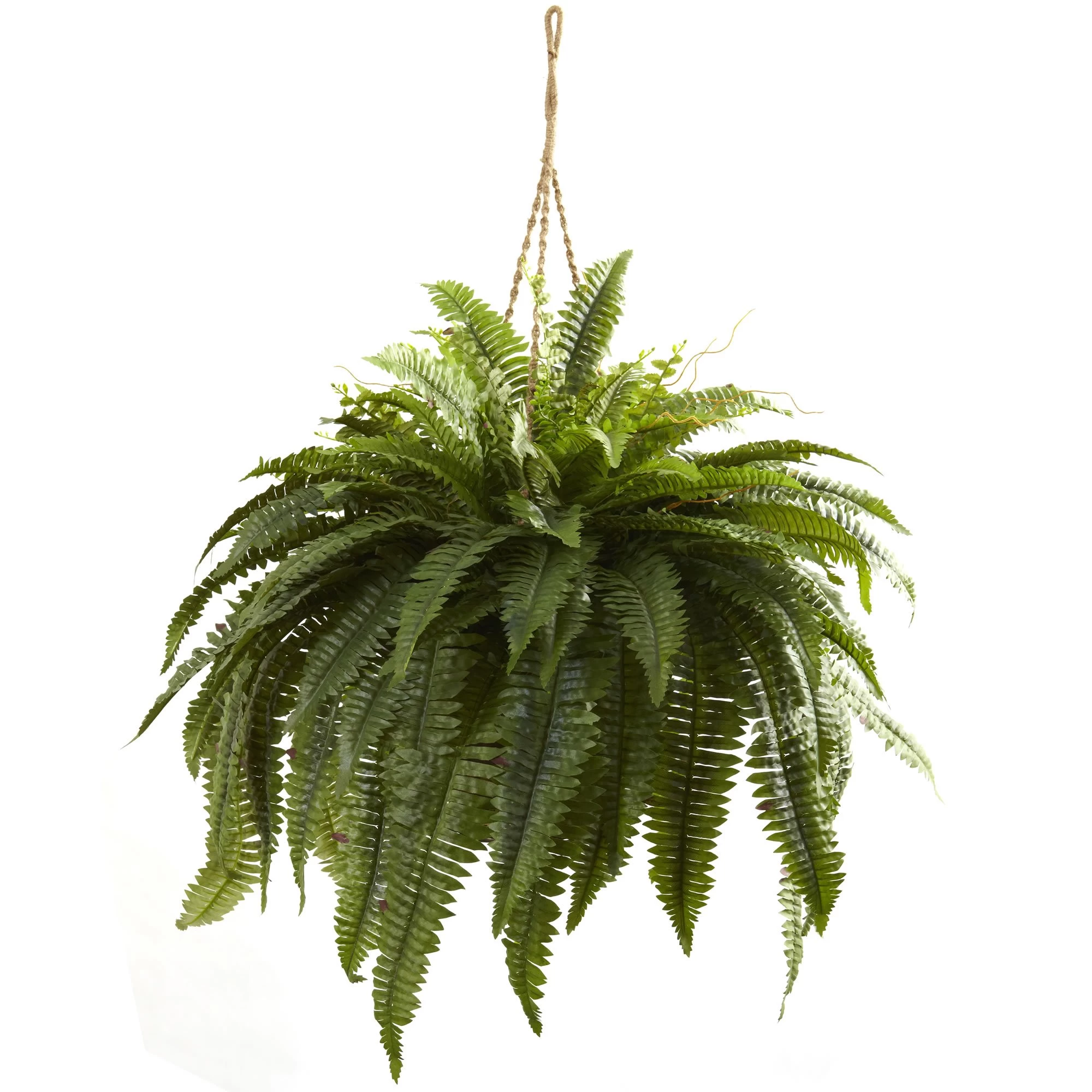 36 Inches Giant Boston Fern Hanging Basket Indoor/Outdoor
