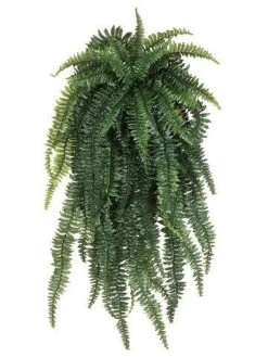 48 Inches Long 30 Inches Wide Outdoor UV Weeping Boston Fern Hanging Bush Light Green *****2pc Min Order