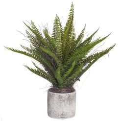 19 Inches Fern In Cement Pot Green