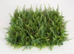 20 Inches X 20 Inches X 4 Inches Tall Outdoor Artificial Mixed Fern Mat