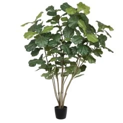 5 Feet Potted Fiddle Tree W/168 Lvs-Green