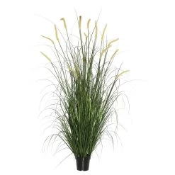 24 Inches Green Foxtail Grass In Pot