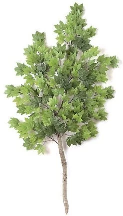 8 Feet Maple Branch - Natural Wood - Green - CUSTOM-MADE