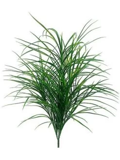32 Inches Wheat Grass Bush Green