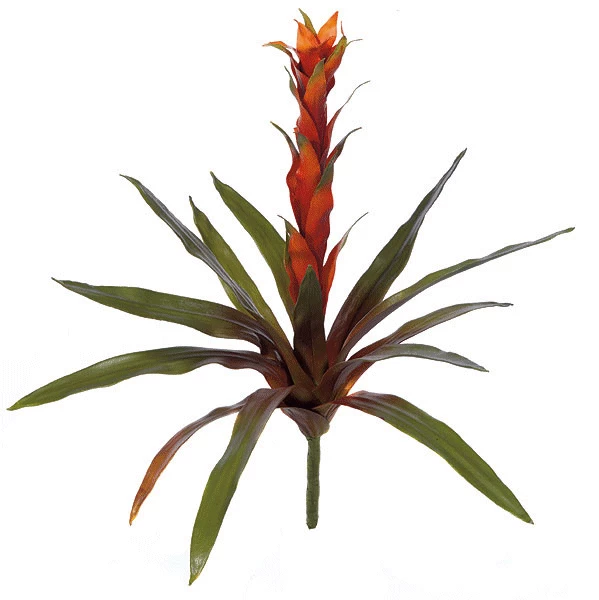 21 Inches Bromeliad - Natural Touch - 13 Leaves - 1 Flower - 24 Inches Width - Green/Red - Image 2