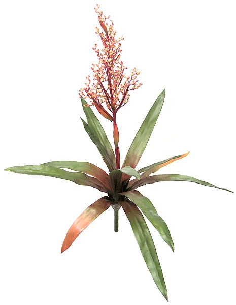 25 Inches Bromeliad - Natural Touch - 12 Leaves - 1 Flower - 24 Inches Width - Red/Yellow - Image 2