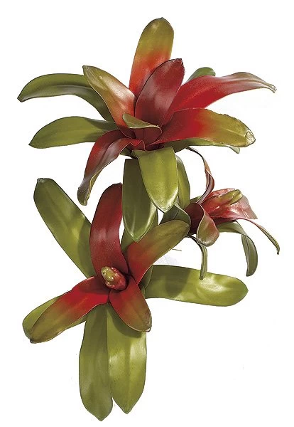 20 Inches Bromeliad Stem - Natural Touch - 3 Heads - 30 Leaves - 12 Inches Width - Red/Green - Image 2