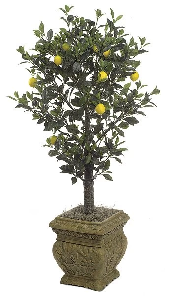 P-62645 Faux Life Like Custom Made 5 Feet Lemon Tree - Synthetic Trunk - Image 2