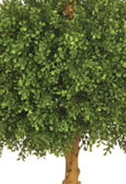 4 Feet Plastic Double Boxwood Ball Topiary - Natural Trunk - 16 Inches And 20 Inches Diameters - Image 2