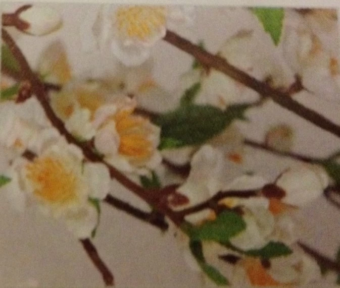 W-110000 5 Feet Cherry Blossom Tree Natural Trunks White/Cream - Image 2