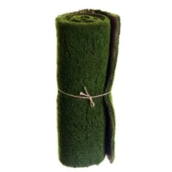 19.6"Wx78.7"L Moss Sheet Green