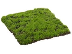 12"Wx12"L Square Grass Moss Sheet Green
