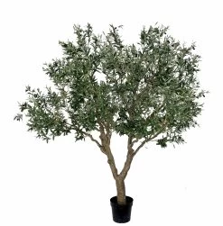 8 Foot Fire Rated Olive Tree 60 Inches Wide
