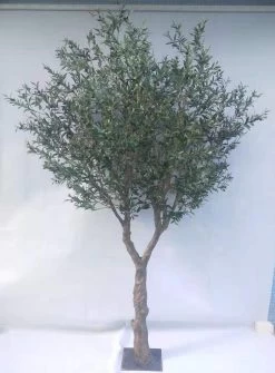 10 Foot Olive Tree Fire Retardent 60 Inches Wide