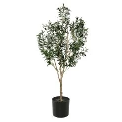 6 Feet Green Potted Olive Tree