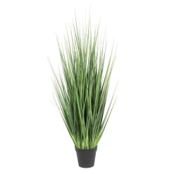 60 Inches Outdoor Extra Full Onion Grass Potted
